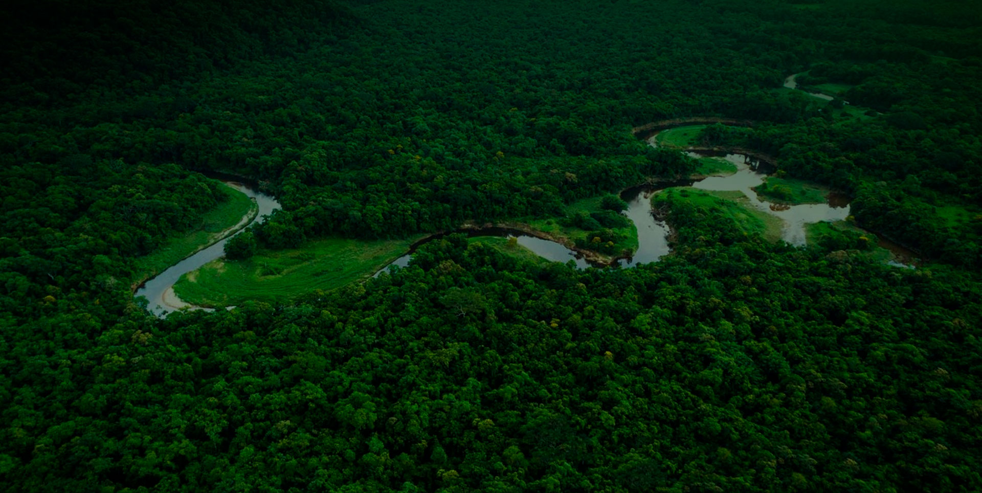 Amazon Rain Forrest - Privatreisen-brasilien