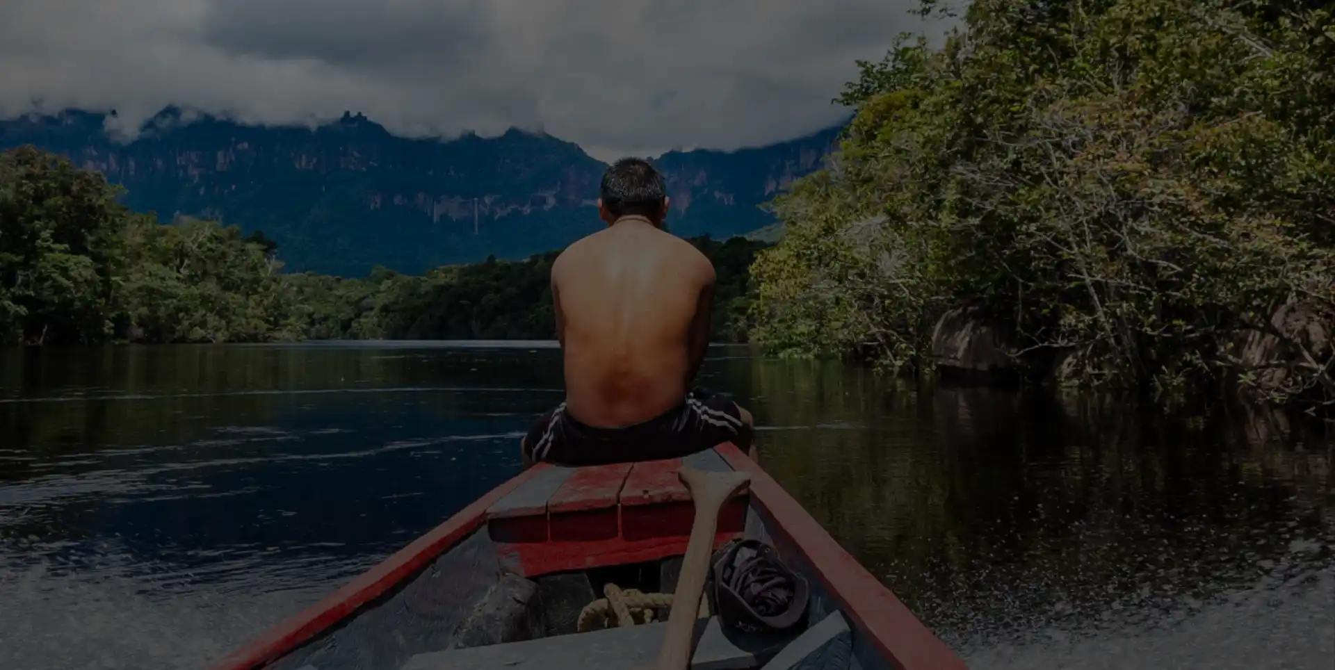 Amazon Rain Forrest - Privatreisen-brasilien