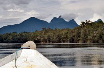 Private Tour - Entdecken Sie den Oberlauf des Rio Negro
